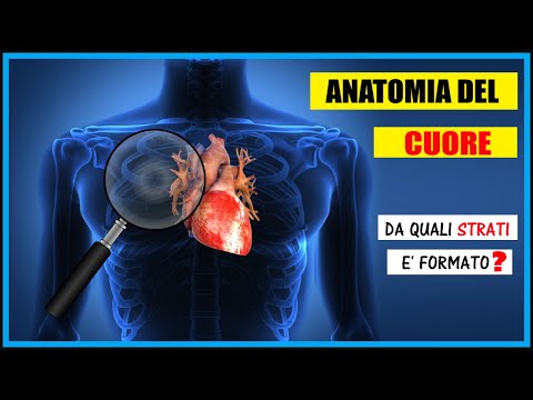 Video: Immagini, Diagramma E Anatomia Del Cuore - Body Maps