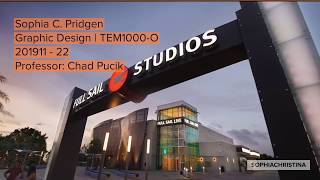 TEM 4.0 Reflection Video
