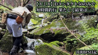 【スミス】Dコンタクト50のみで短時間釣行　果たして結果は…？