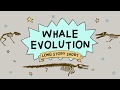 A Whale of an Evolution Tale (Long Story Short)