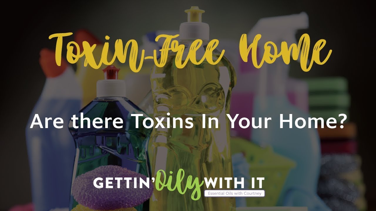 Are There Toxins In Your Home TOXIN FREE HOME Part 1 YouTube Are There Toxins In Your Home TOXIN FREE HOME Part 1 YouTube