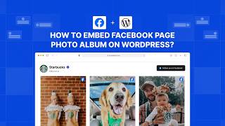 How to embed Facebook page Photo album (One Album) on WordPress