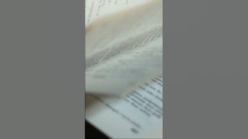 The Highly Sensitive Person:  A Brief Insight #hsp #highlysensitive #highlysensitiveperson