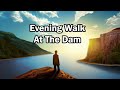 Evening Walk At The Dam | Tranquil Outdoor Walk