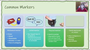 FDSA Webinar: Julie Flanery- Destination Known: Your GPS to Training Behaviors