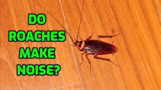 Do Roaches Make Noise?