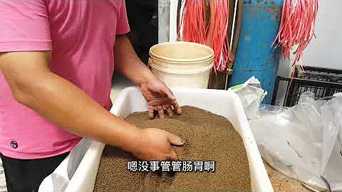 養魚別光喂飼料了！金魚場喂兩樣純天然“添加劑”，在家也可嘗試 - 天天要聞