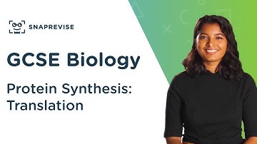 Protein Synthesis: Translation | 9-1 GCSE Science Biology | OCR, AQA, Edexcel
