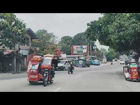 Kennon Road to Manila part3