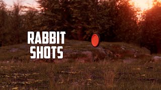 Rabbit Targets in Sporting Clays: Pro Tips from 3-Time National Champion Zachary Kienbaum screenshot 5