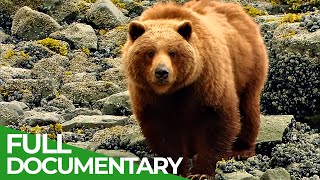 Glacier Bay National Park - Pristine Beauty in Alaska's South | Free Documentary Nature