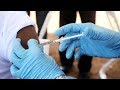 Profits First: The Story of the Ebola Vaccine