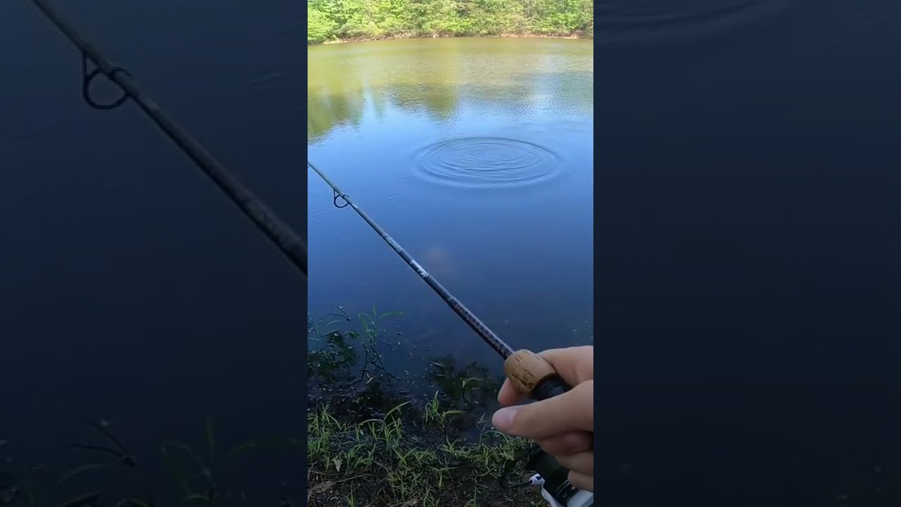 How To Catch Largemouth Bass On Bluegill