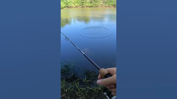 How to catch Largemouth Bass on Bluegill