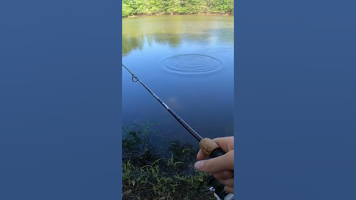 How to catch Largemouth Bass on Bluegill