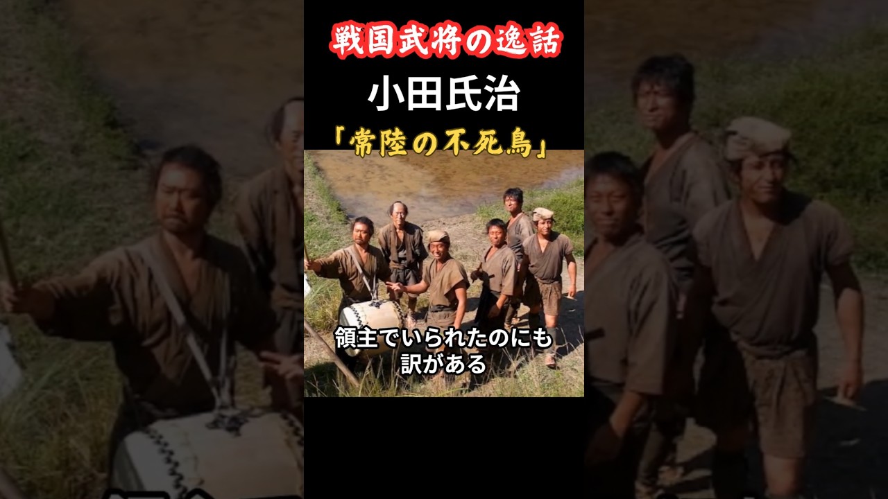 小田 氏 治 大河 ドラマ