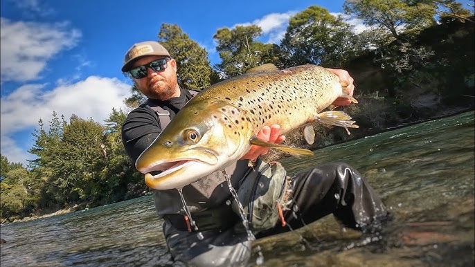 Taupo