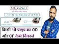 How to find Pipe OD & CF | OD, CF & Schedule | Piping Interview Questions | Piping OD formula
