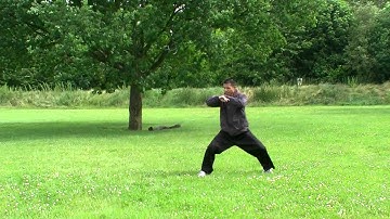 Chen Style Xinyi Hunyuan 24 form (GM Feng ZhiQiang)- Training 22 06 2013 - Parc