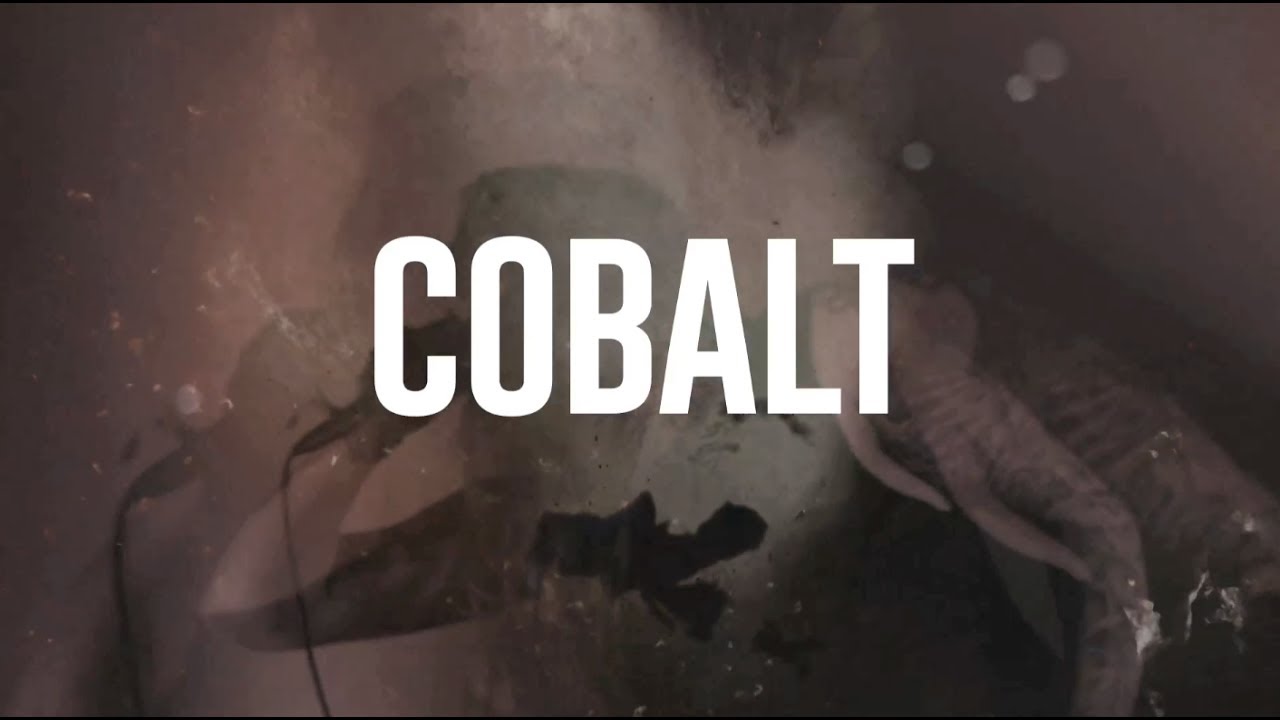 COBALT @ swr barroselas metalfest - Portugal (interview with Erik Wunder & Charlie Fell) 2017