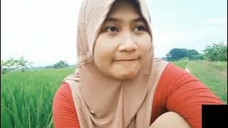 Viral di tiktok, cwek kebelet pipis di sawah 🤭🤣🤣#shorts #lucu