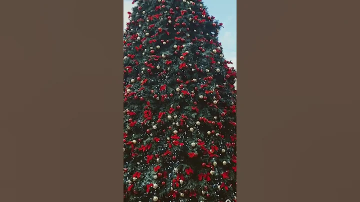 SEASONS GREETINGS FROM TRAVELING TV