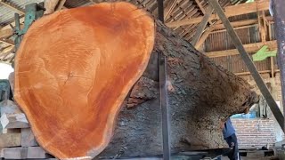 7 juta U$D? super besar dan berbahaya proses penggergajian kayu mahoni terbesar didunia dari Alaska.