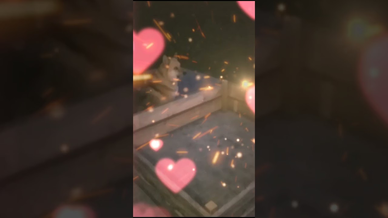 A dog watches the manufacture of a gravel crate (Собака наблюдает за изготовлением ящика для гравия)