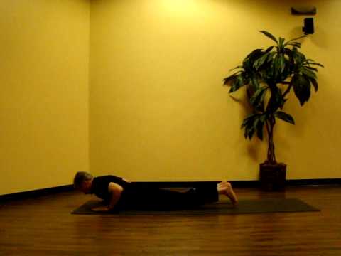 Fusion Yoga Studio Sacramento - Sun Salutation B F...