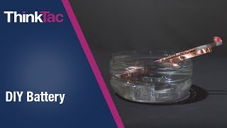 DIY Battery | ThinkTac