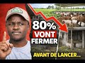 L'HÉCATOMBE  Pourquoi 80% des fermes vont fermer d'ici 5 ans