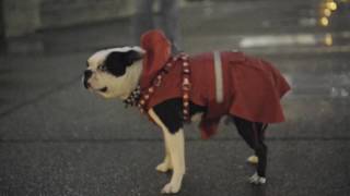 Rain, cold weather continues in Nashville during rush hour