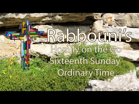 Sixteenth Sunday in Ordinary Time 2023