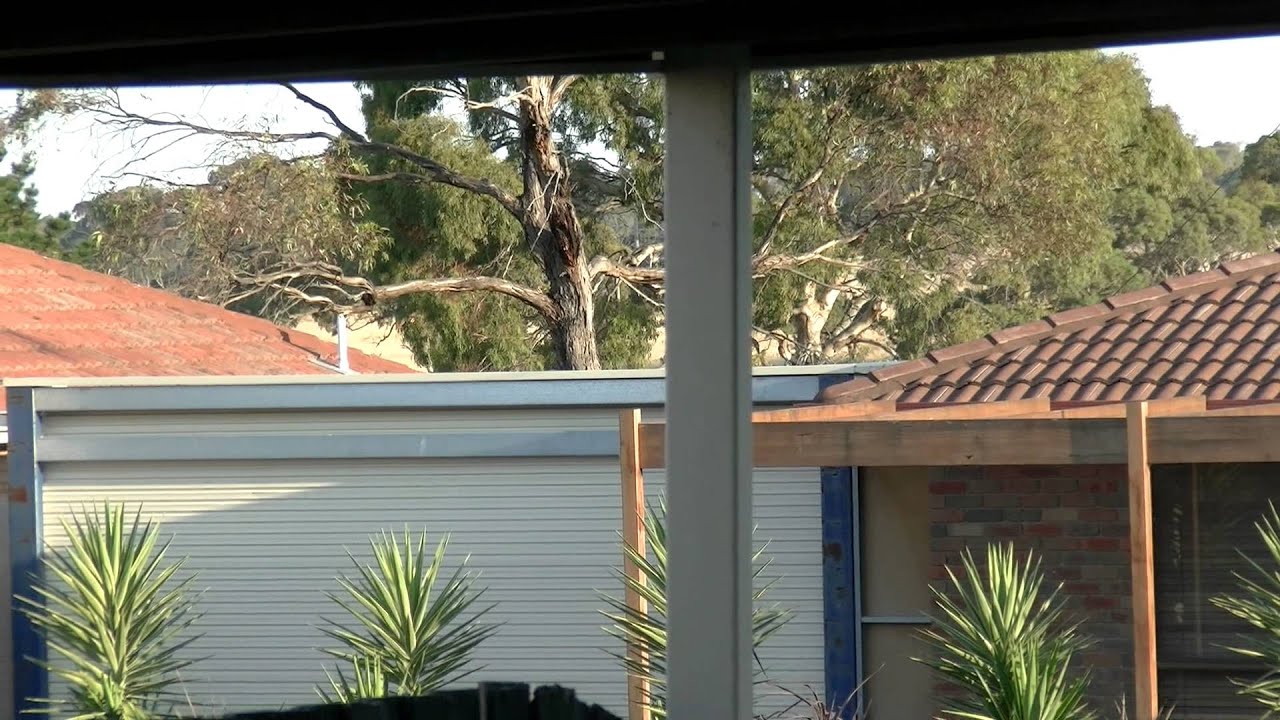 JVC PX GC100 Sound test V/Line Train