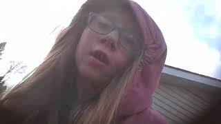 WIN 20260331 17 13 44 Pro