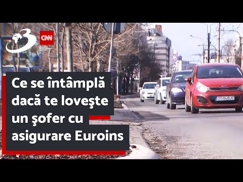 Video: Aveți un Sitter Pet pentru situații de urgență?