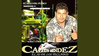 Video thumbnail of "Calixto Mendez El As De Los Teclados - Te Esperaré"