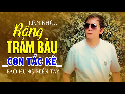 Liên Khúc RẶNG TRÂM BẦU & CON TẮC KÈ - Bảo Hưng Miền Tây | Siêu Phẩm Ca Nhạc Trữ Tình Cực Hay