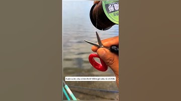 Cuộn cước câu cá tàn hình 500m #cauca #fishing #shorts