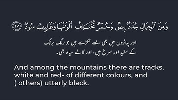 Surah Fatir 27-33 | سورة فاطر ٢٧-٣٣