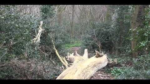 James Stacey, Will Owen, Topea Braddon and Alex Calver Music Video