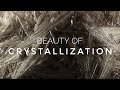 Beauty of crystallization  a time lapse about crystal growth