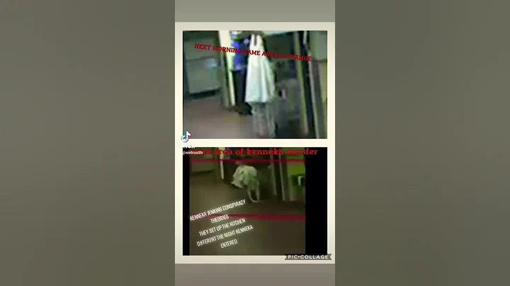 kenneka Jenkins theories proof she entered a kitchen they setup to kill her background proves it