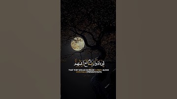 quran kareem surah Al-Fath-القران الكريم سورة الفتح#عبدالرحمن_مسعد #القرآن_الكريم #quran 🌍