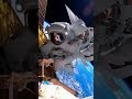 NASA Astronauts Repair Satellite in Earth Orbit  #space #spacesuccess #spaceexploration #nasa
