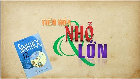 Dđơn vị nhỏ nhất của tiến hóa là