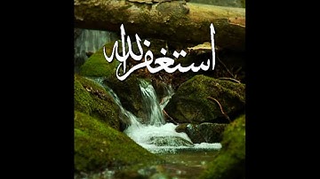 القارئ مصطفي شكشك أواخر سورة الجاثية من مسجد أم المؤمنين عائشة بالقلج