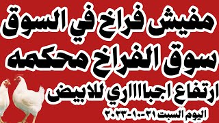 اسعار الفراخ البيضاء اليوم سعر الفراخ البيضاء اليوم السبت ٢١-١٠-٢٠٢٣ في المحلات في مصر