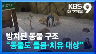 방치된 동물 구조…“동물도 돌봄·치유 대상” / KBS 2024.06.07.