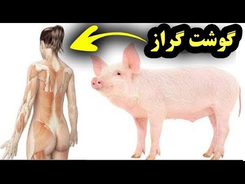تصویری: طرز تهیه گوشت خوک برای سفره تعطیلات
